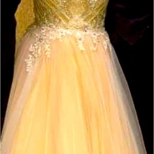 Leilani couture champagne ivory wedding dress